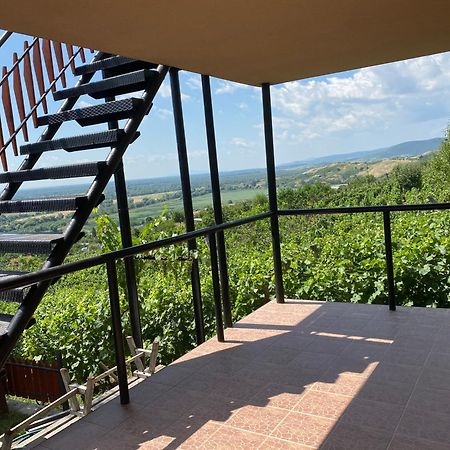 Feher Szolo Vendeghaz Sátoraljaújhely Exterior foto