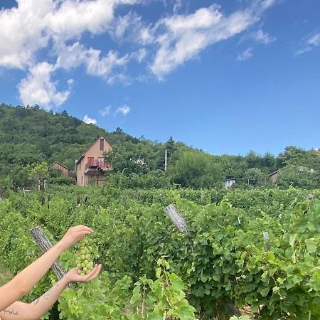 Feher Szolo Vendeghaz Sátoraljaújhely Exterior foto