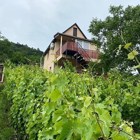 Feher Szolo Vendeghaz Sátoraljaújhely Exterior foto