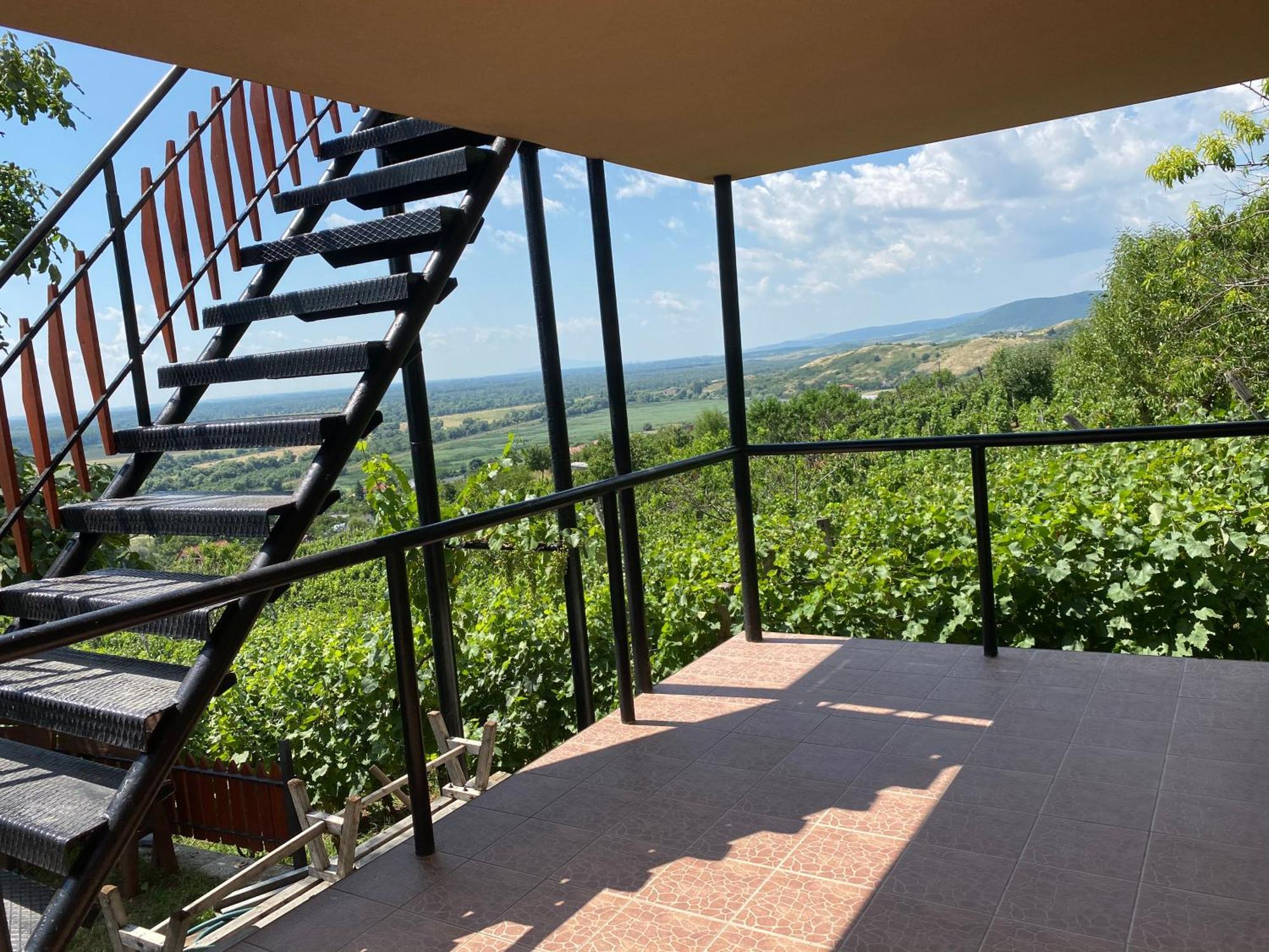 Feher Szolo Vendeghaz Sátoraljaújhely Exterior foto